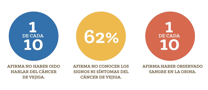 Datos cáncer de vejiga en España.