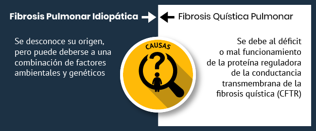 Causas Fibrosis pulmonar idiopática vs. Fibrosis quística pulmonar