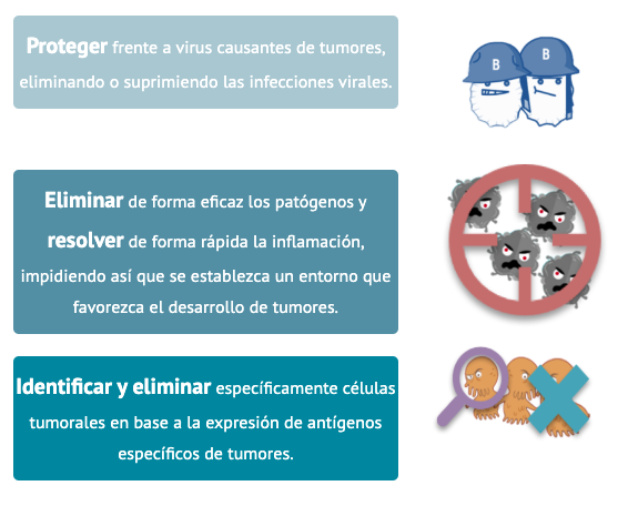 funciones para prevenir formación de tumores